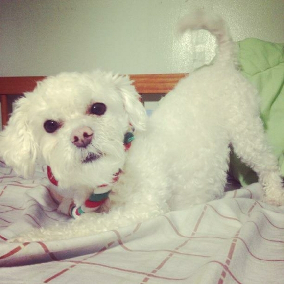 Meet your Posher, Dd - Picture 1 of 1